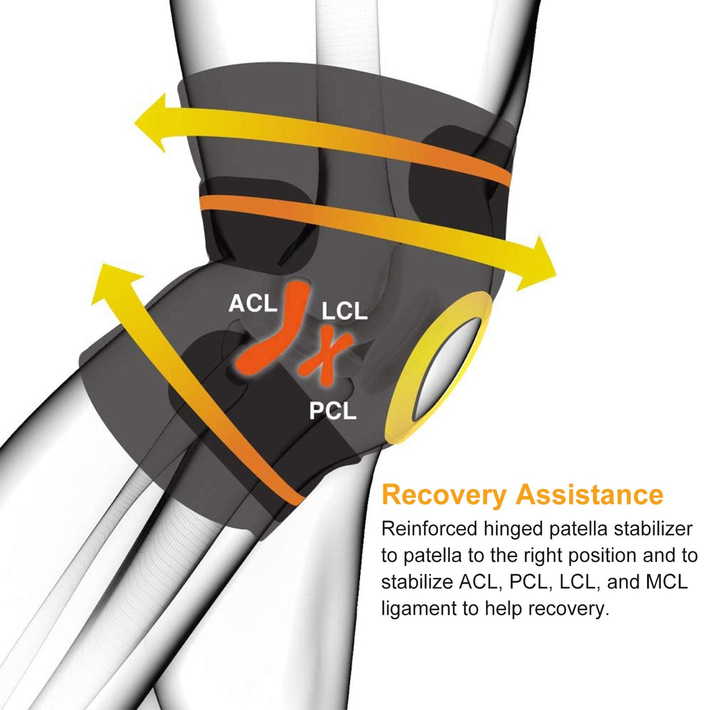 Sport Knee Support